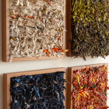 Load image into Gallery viewer, abundance