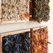 Load image into Gallery viewer, abundance