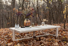 Load image into Gallery viewer, handwoven placemats silver birch